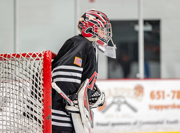 Centennial Junior Gold Hockey 331