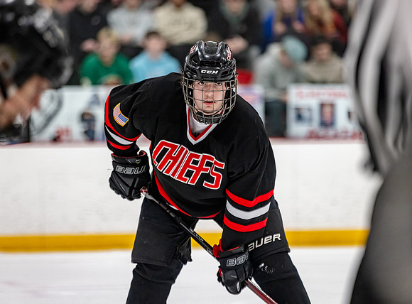 Centennial Junior Gold Hockey 345
