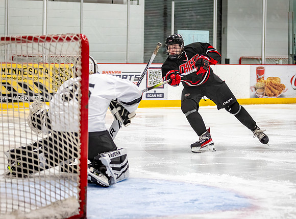 Centennial Junior Gold Hockey 416
