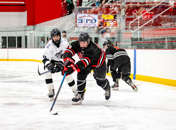Centennial Junior Gold Hockey 424