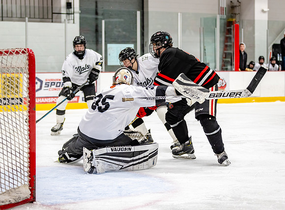 Centennial Junior Gold Hockey 431