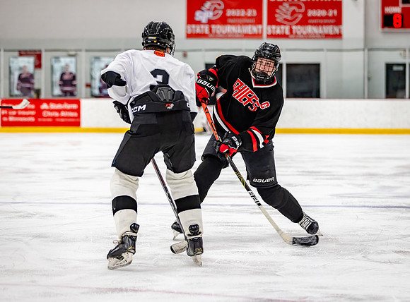 Centennial Junior Gold Hockey 442