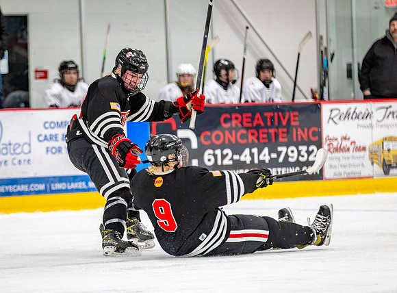 Centennial Junior Gold Hockey 453