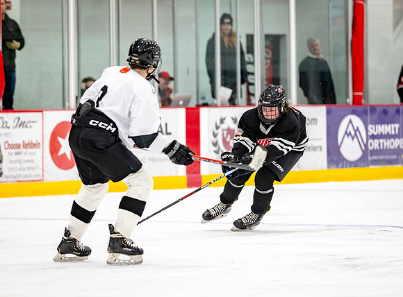 Centennial Junior Gold Hockey 480