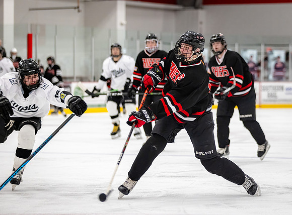 Centennial Junior Gold Hockey 495