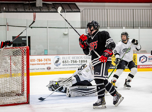 Centennial Junior Gold Hockey 499