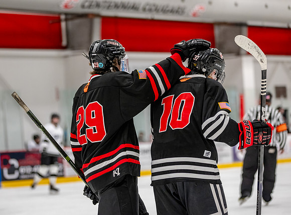 Centennial Junior Gold Hockey 503