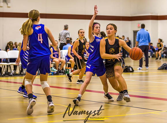 Forest Lake Girls 7 Maroon Basketball 008