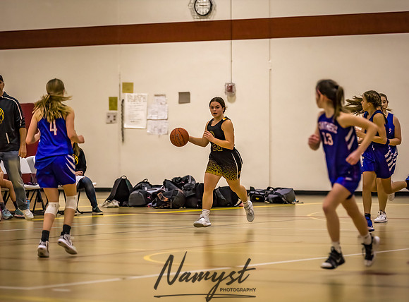 Forest Lake Girls 7 Maroon Basketball 011