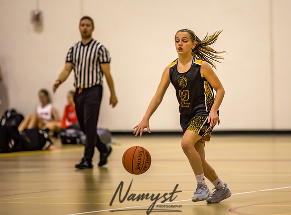 Forest Lake Girls 7 Maroon Basketball 012