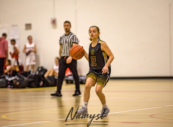 Forest Lake Girls 7 Maroon Basketball 014