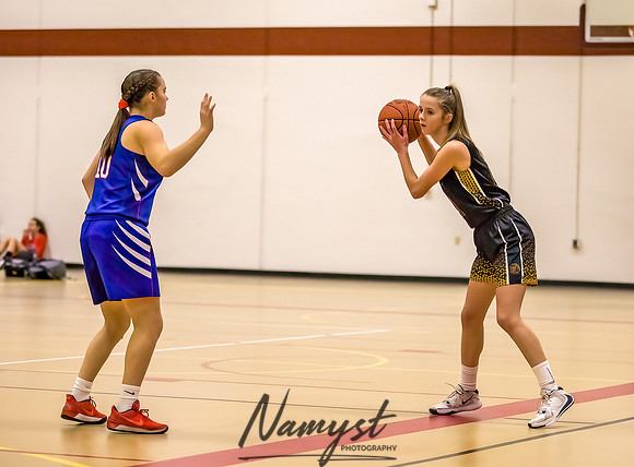 Forest Lake Girls 7 Maroon Basketball 017