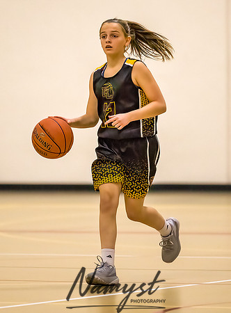 Forest Lake Girls 7 Maroon Basketball 019