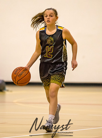 Forest Lake Girls 7 Maroon Basketball 021