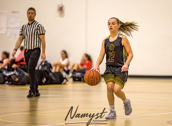 Forest Lake Girls 7 Maroon Basketball 022