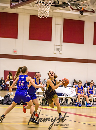 Forest Lake Girls 7 Maroon Basketball 030