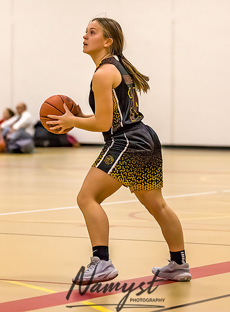 Forest Lake Girls 7 Maroon Basketball 041