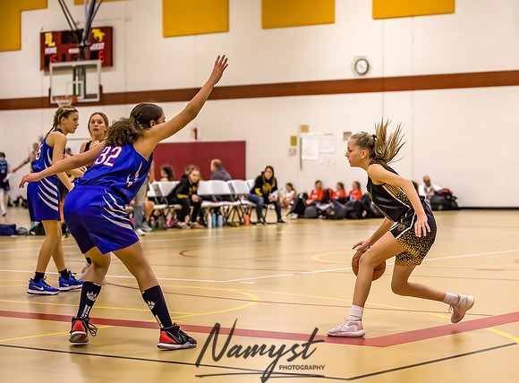 Forest Lake Girls 7 Maroon Basketball 043