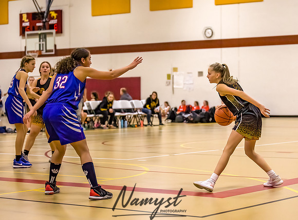 Forest Lake Girls 7 Maroon Basketball 044