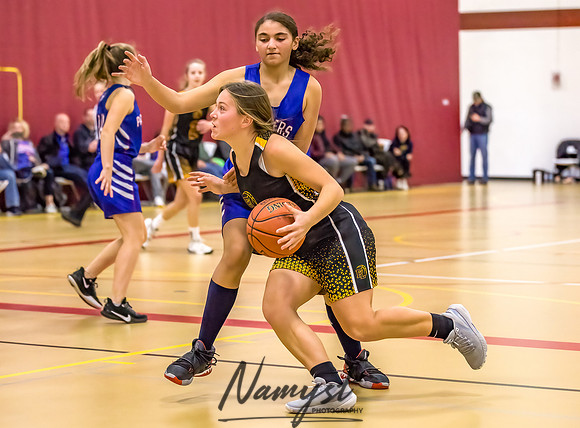 Forest Lake Girls 7 Maroon Basketball 080