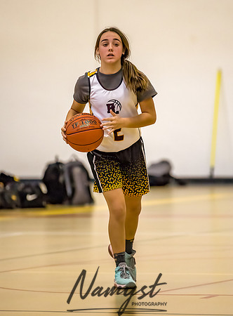 Forest Lake Girls 7 Maroon Basketball 091
