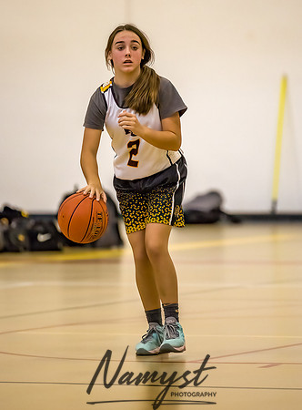 Forest Lake Girls 7 Maroon Basketball 093