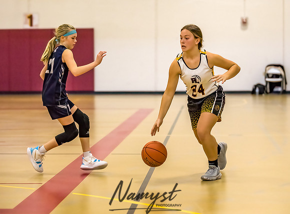 Forest Lake Girls 7 Maroon Basketball 100