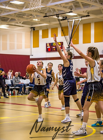 Forest Lake Girls 7 Maroon Basketball 108