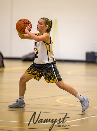 Forest Lake Girls 7 Maroon Basketball 111