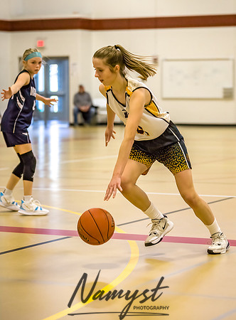 Forest Lake Girls 7 Maroon Basketball 115