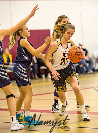 Forest Lake Girls 7 Maroon Basketball 117