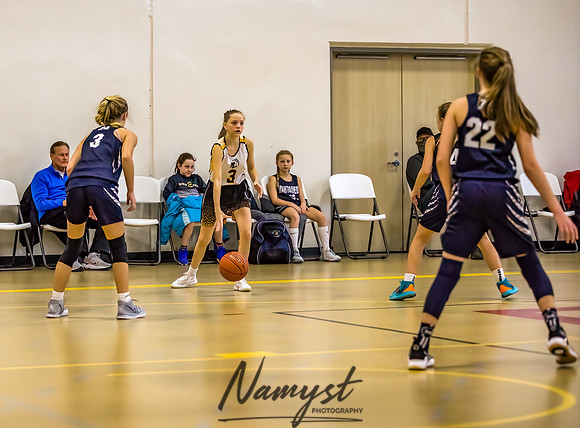 Forest Lake Girls 7 Maroon Basketball 124