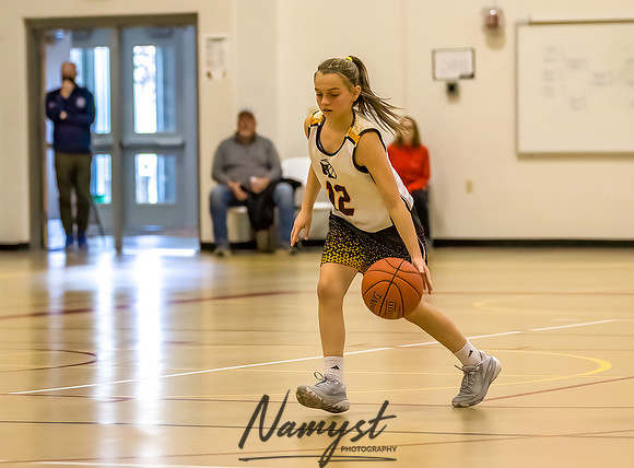 Forest Lake Girls 7 Maroon Basketball 127