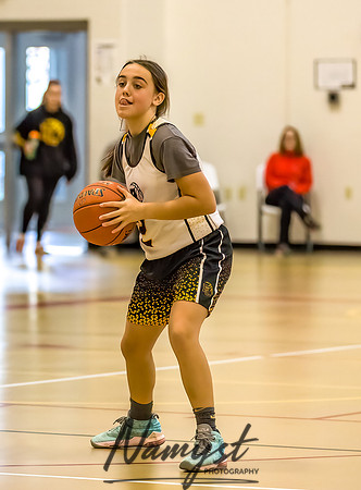 Forest Lake Girls 7 Maroon Basketball 134