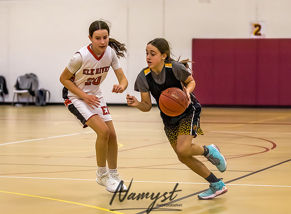 Forest Lake Girls 7 Maroon Basketball 158