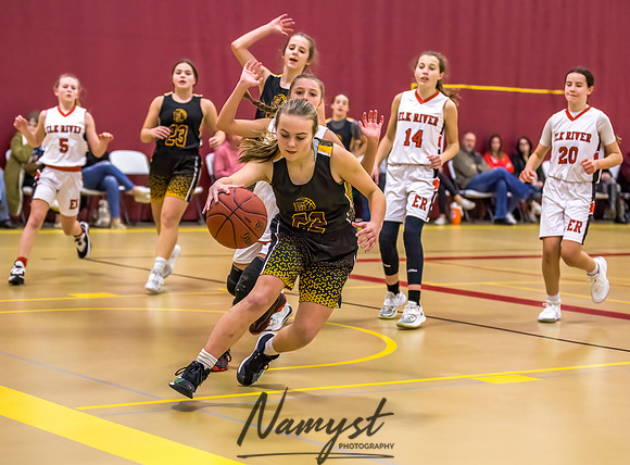 Forest Lake Girls 7 Maroon Basketball 156