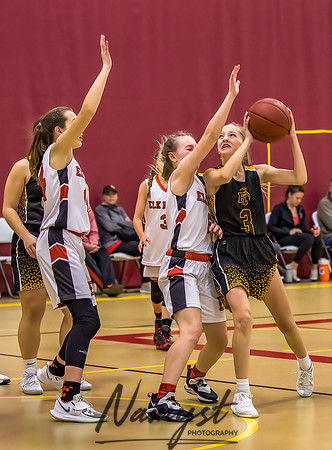 Forest Lake Girls 7 Maroon Basketball 160