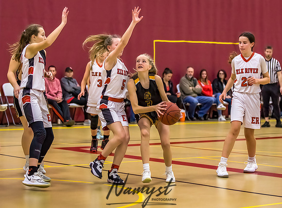 Forest Lake Girls 7 Maroon Basketball 159