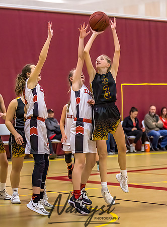 Forest Lake Girls 7 Maroon Basketball 161