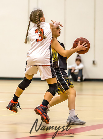 Forest Lake Girls 7 Maroon Basketball 165
