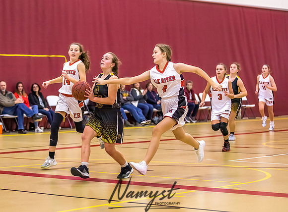 Forest Lake Girls 7 Maroon Basketball 163