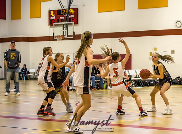 Forest Lake Girls 7 Maroon Basketball 164