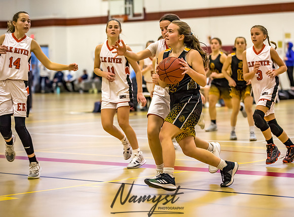 Forest Lake Girls 7 Maroon Basketball 167