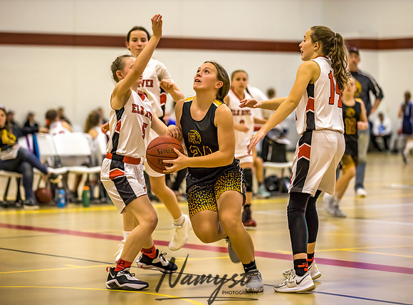 Forest Lake Girls 7 Maroon Basketball 172