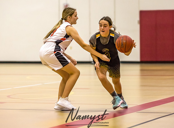 Forest Lake Girls 7 Maroon Basketball 176