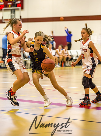 Forest Lake Girls 7 Maroon Basketball 175
