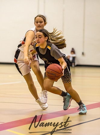 Forest Lake Girls 7 Maroon Basketball 179
