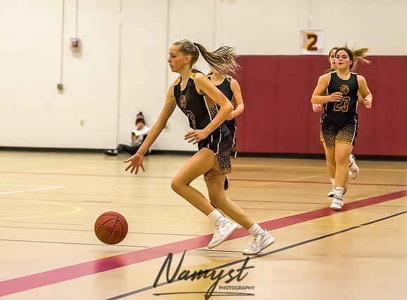 Forest Lake Girls 7 Maroon Basketball 186