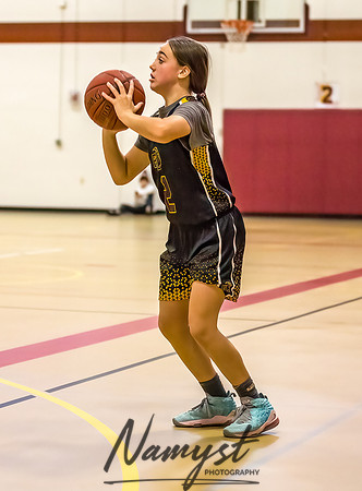 Forest Lake Girls 7 Maroon Basketball 187