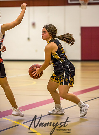 Forest Lake Girls 7 Maroon Basketball 191